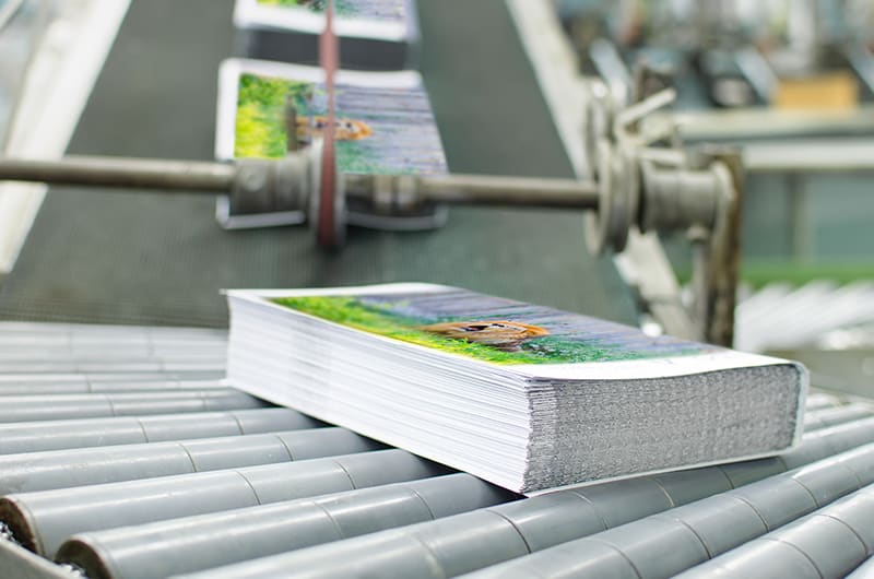 gedrucktes Papier auf Fließband